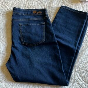 Kut from the Kloth Katy Ankle jeans size 14